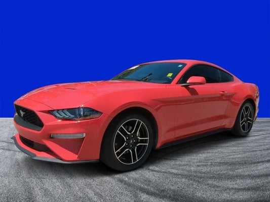 2020 Ford Mustang EcoBoost in Daytona Beach, FL - Gary Yeomans Honda